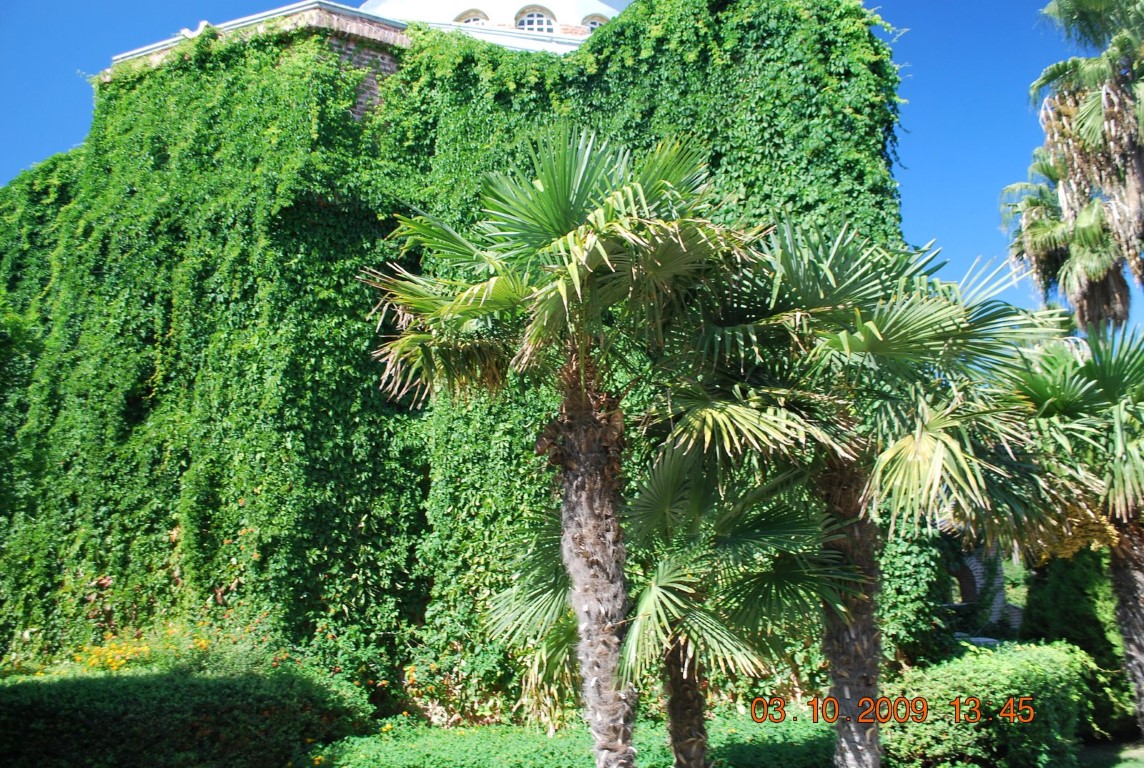 imagini hotel WOW TOPKAPI PALACE